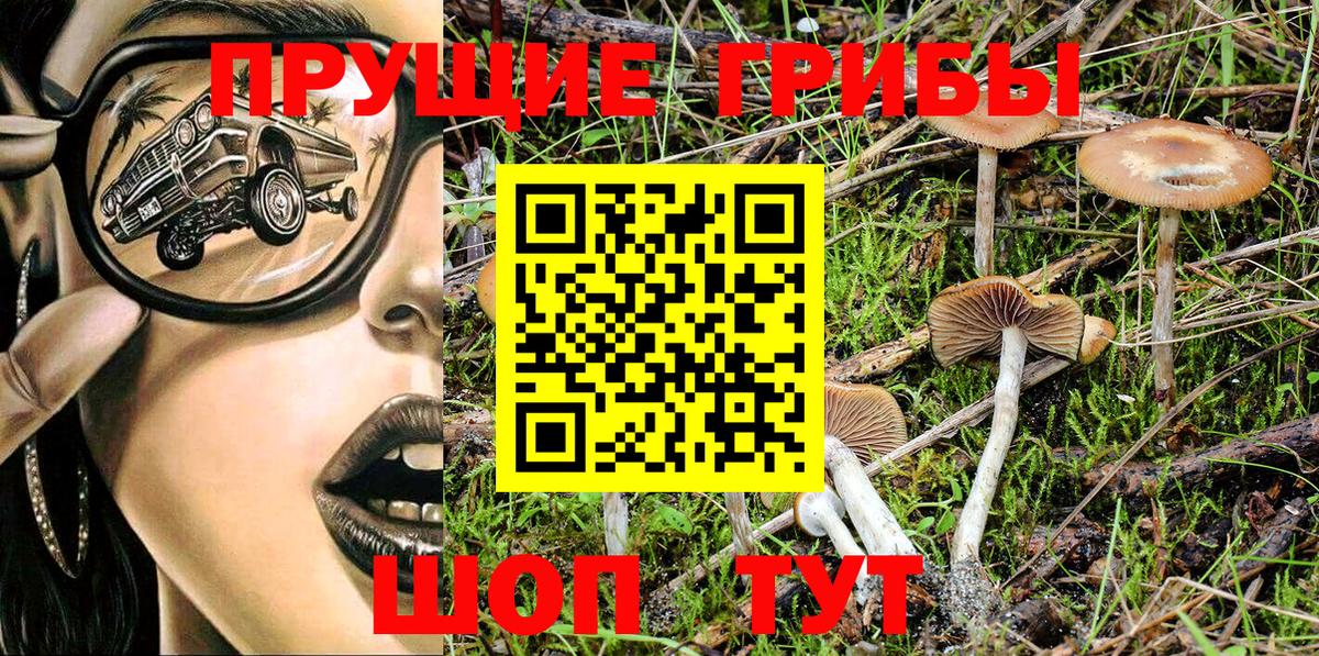 Глазов  Галлюциногенные грибы Cubensis  Вход с VPN 